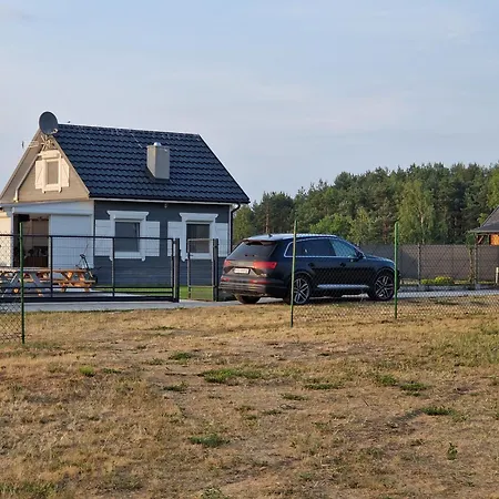 Skandynawski Przykona Zimotki